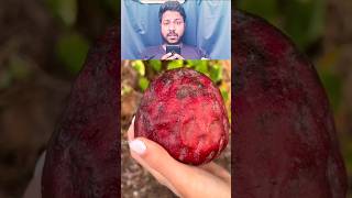 Nutrition facts-llama fruit| Health benefits 🍓🍒🥝 #shorts #viral