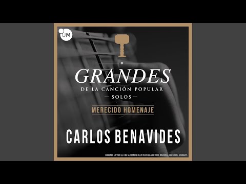 Hubo un Niño José Artigas (En Vivo)