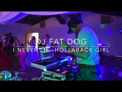 I Never Lie - Hollaback Girl   #djfatdog