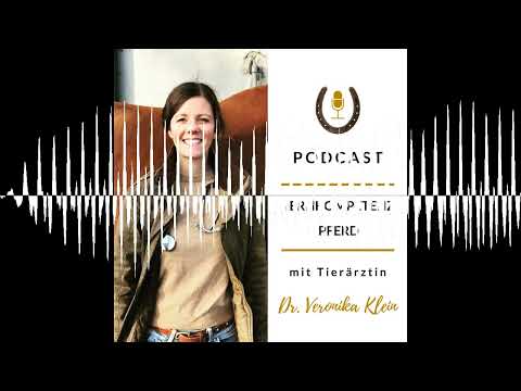 Magenprobleme beim Pferd (Gast-Interview)