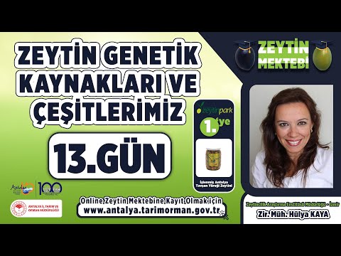 , title : 'Zeytin Mektebi - Zeytin Genetik Kaynakları ve Çeşitlerimiz 13.Gün'