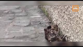 corleto-bilancio-sempre-piu-pesante-sono-3-vittime