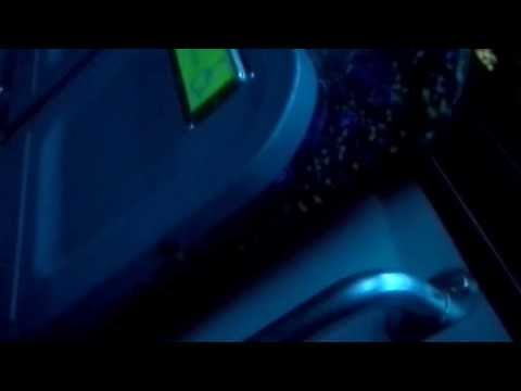 FRANCESCO DI GIRIFALCO