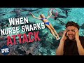 Nurse Shark ATTACKS: Influencer Edition!