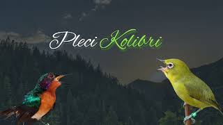 Download lagu Masteran Pleci Nembak Mp3 Panjang Kolibri G12 G16 G60 - Masteran pleci nembak mewah mudah di tiru mp3