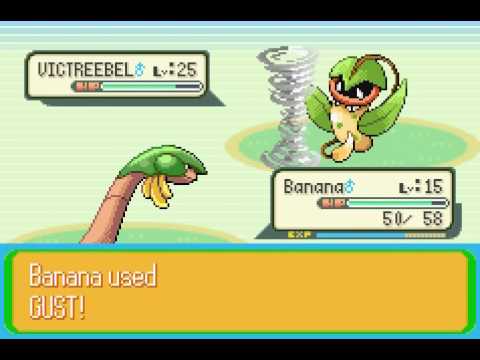 Pokemon Naranja - Episode 9