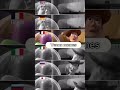 Buzz Look An Alien In Different Languages Shorts