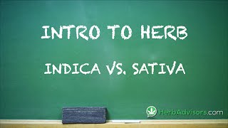 "Intro To Herb: Indica vs. Sativa" by HerbAdvisors.com