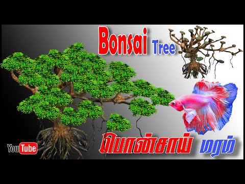 BONSAI tree for my aquarium! Aquascape tutorial #2023