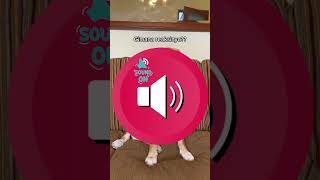 Download lagu SUARA INI HANYA BISA DIDENGAR OLEH ANABUL‼️😱😱 #shorts mp3 Download lagu SUARA INI HANYA BISA DIDENGAR OLEH ANABUL‼️😱😱 #shorts mp3