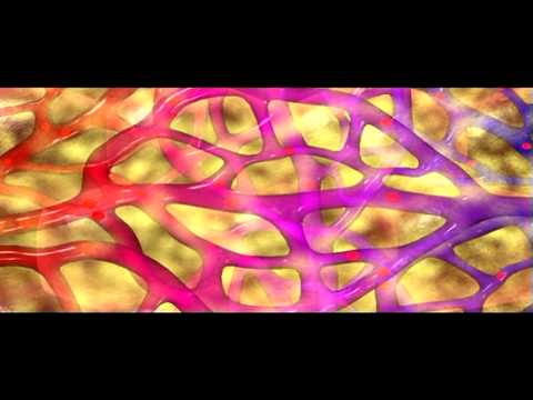Capillaries | Biology | Anatomy - YouTube