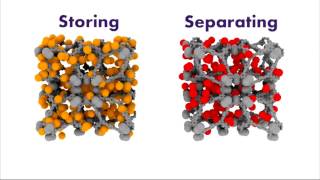 Combatting Nerve Agents with Nanotechnology | Omar Farha | TEDxNorthwesternU