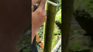 Download lagu Air Terjun Terindah di Bogor #explorebogor #airterjun #curug #bogor #trending #trendingshorts #viral mp3