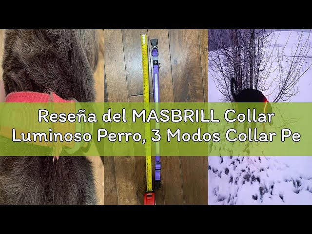 Vídeo relacionado con MASBRILL Collar Luminoso Perro, 3 Modos Collar Perro Luz con Recargable Impermeable, Ajustable Iluminación Collares LED para Perros Pequeños/Medianos/Grandes, Azul S