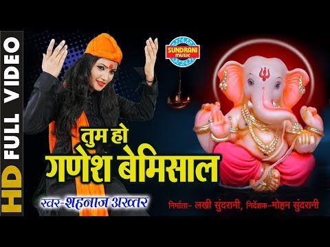 तुम हो गणेश बेमिसाल कहे गौरा राणी लिरिक्स
