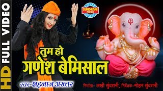 तुम हो गणेश बेमिसाल लिरिक्स (Tum Ho Ganesh Bemishal Lyrics)