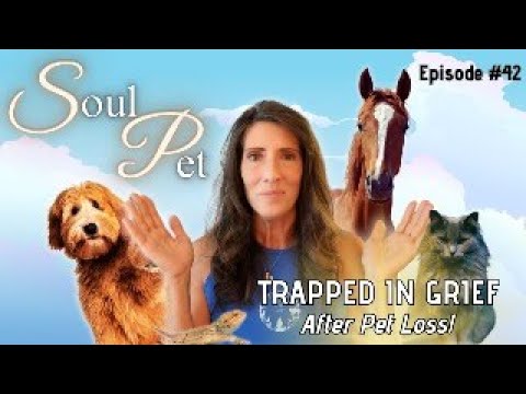 SoulPet Episode 42 - Trapped in Grief