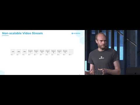 Scalable Video Coding in HEVC & AV1 - Christian Feldmann  |  July 2018