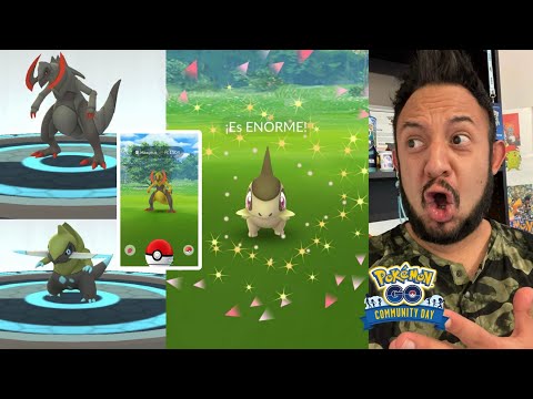 AXEW SHINY XXL SUPER RARO ¡EL MEJOR COMMUNITY DAY en POKEMON GO!