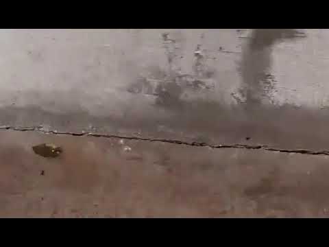 Makk 5 garázs lejáró