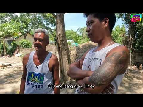 Sinursurwan da karate ni Dimsy  - Franz Pal eng