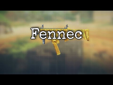 Fennec | Daily Gunsmith 33