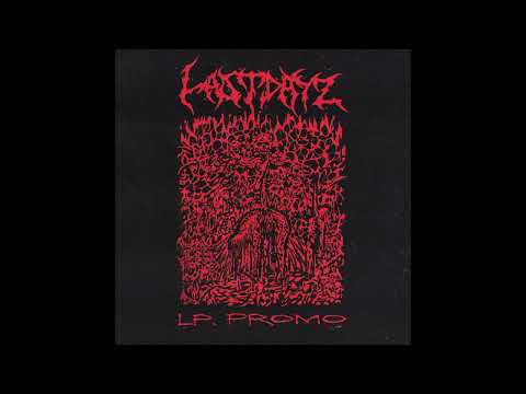 Last Dayz - LP Promo