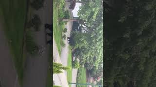 今朝、二回目のクマさん