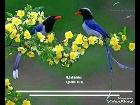 H.Lalrinkimi - Ngaihlai mi u