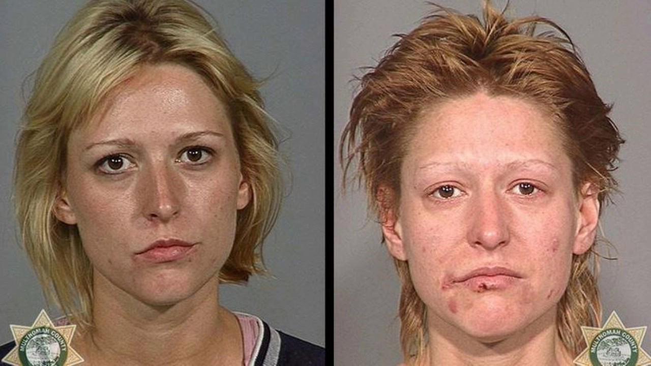 meth segment 2 - faces of meth