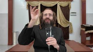 הכנה לשבועות מתוך מגילת רות 01 | התוועדות הכנה לשבועות תשפ"ה (בית שמש) | הרב דוד גבירצמן