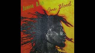 Cover art for ONE blood