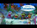 Nighttime Playtime Song Pajanimals Jim Henson Family Hub