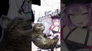 【親バカ】トワ様の猫かわいがりを暴露するフブキ【#白上フブキ ／#常闇トワ ／#ホロライブ ／#shorts 】