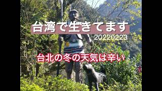台湾からPodcast【台湾で生きてます20220223】「台北の冬の天気は辛い」