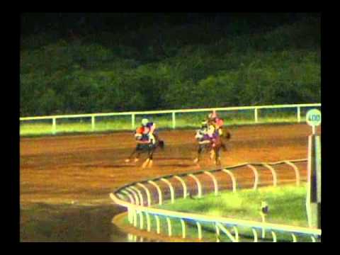 7ma. Carrera Miercoles 23 de Octubre de 2013 SANTA RITA