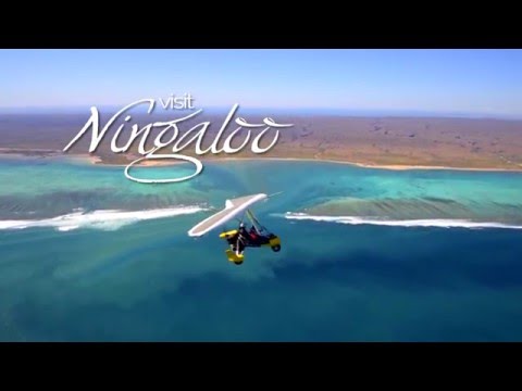Ningaloo Reef