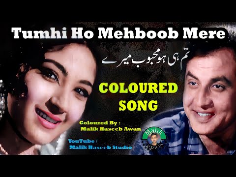 VCS - Pakistan and Malik Haseeb Studio