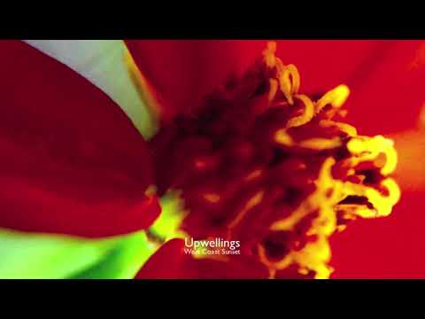 Upwellings - West Coast Sunset (Telrae M006)