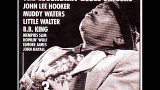 Big Joe Williams - Bye, Bye Baby Blues (Live)