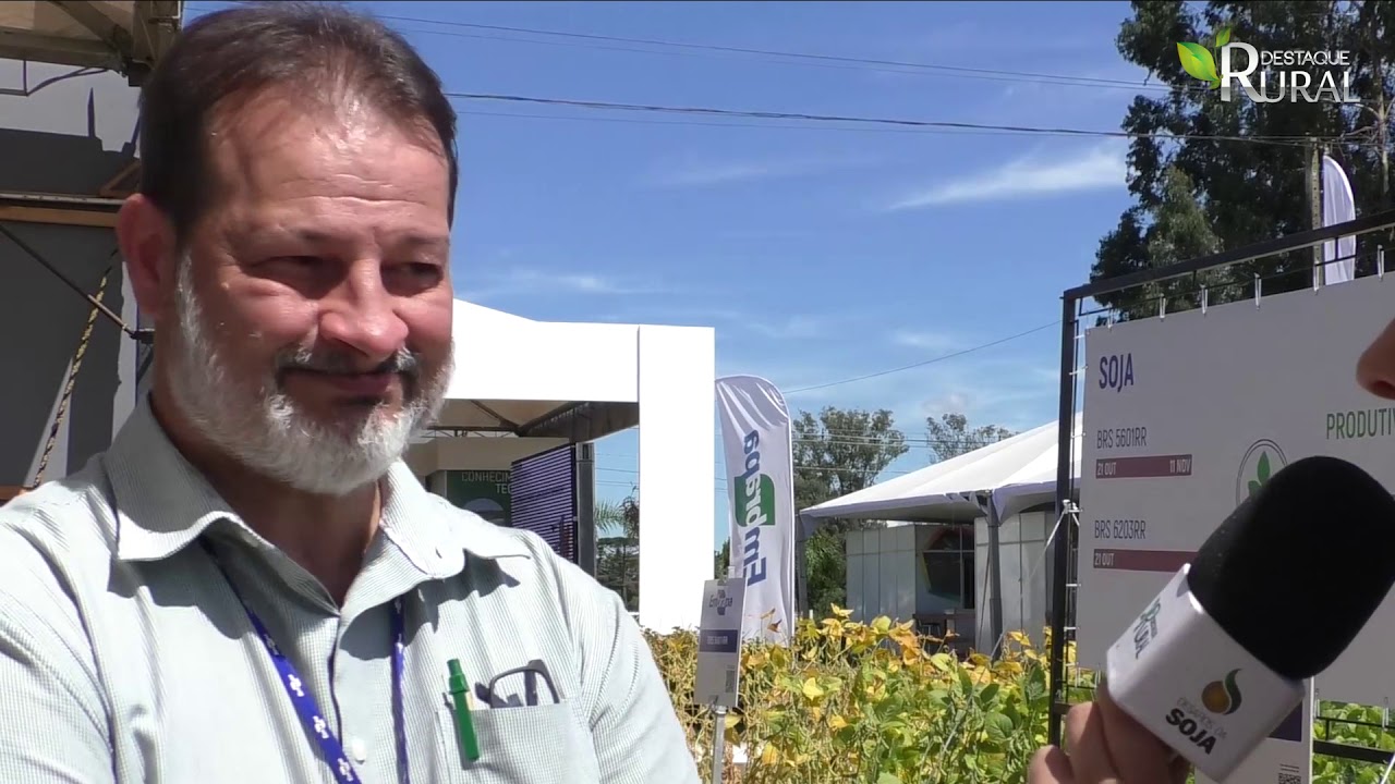 Produto biológico da Embrapa ajuda no controle de nematóides