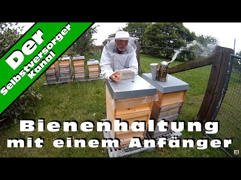 Vitaprost und Omsk Prostatilen seinen Preis