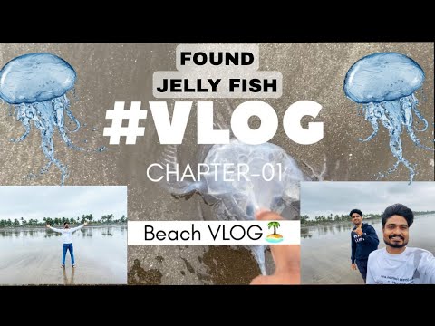 #VLOG-2 FOUND JELLY FISH ON BEACH 🏝️ | JAIDEEP GAMING #vlog #beach #tranding #viral