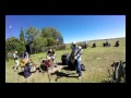 ALLIGATORS SONS - ALICE MAE ( RL Burnside ...