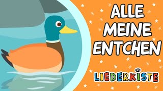 Alle meine Entchen - Kinderlieder zum Mitsingen | Liederkiste