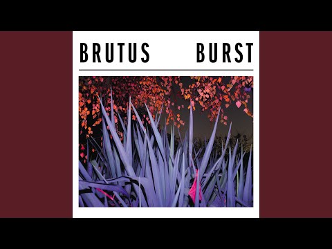 Justice De Julia Ii - Brutus