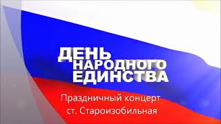 Праздничный концерт ко дню Народного единства (видео)