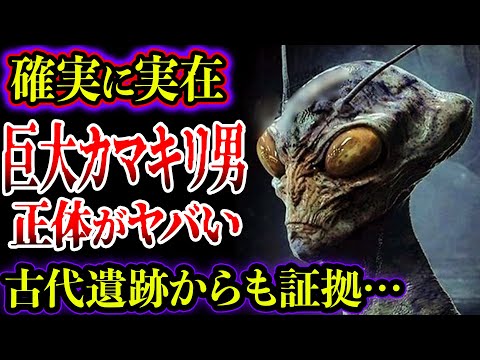 フリノマンティスについて詳しく解説