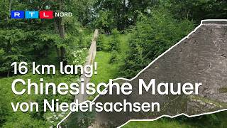 Saupark Springe: Die 16 km lange Mauer und ihre kuriose Geschichte