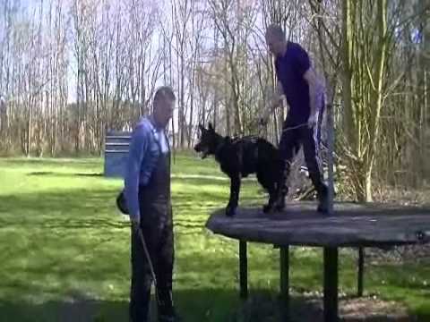 Face von der Teufelskehle